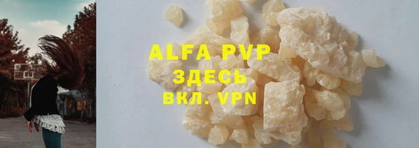 ECSTASY Вяземский