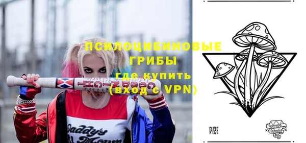ECSTASY Вяземский