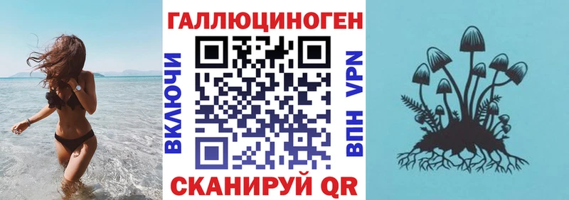 Галлюциногенные грибы GOLDEN TEACHER  цена   Гусь-Хрустальный 