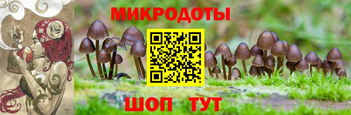 Псилоцибиновые грибы GOLDEN TEACHER Гусь-Хрустальный